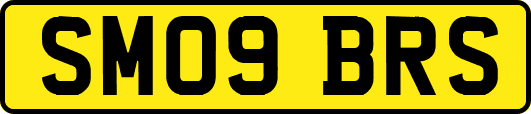 SM09BRS