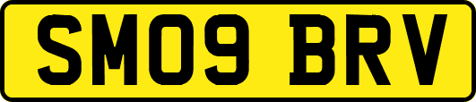 SM09BRV