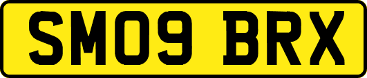 SM09BRX