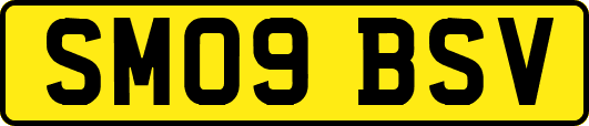 SM09BSV