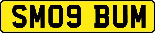 SM09BUM
