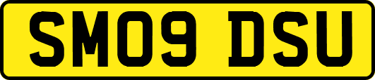 SM09DSU