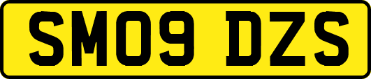 SM09DZS