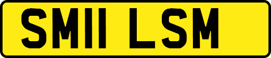 SM11LSM