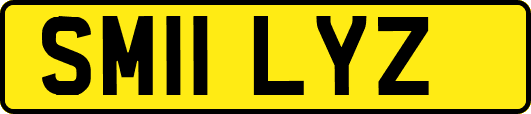 SM11LYZ