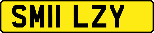 SM11LZY