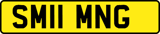 SM11MNG