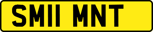 SM11MNT