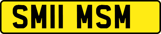SM11MSM