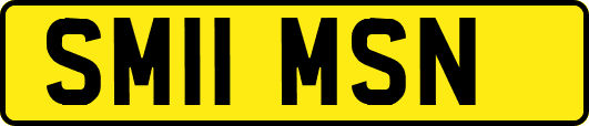 SM11MSN