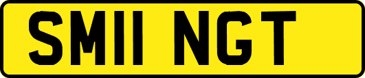 SM11NGT