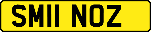 SM11NOZ