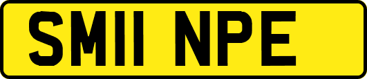 SM11NPE