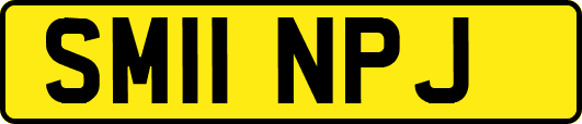 SM11NPJ