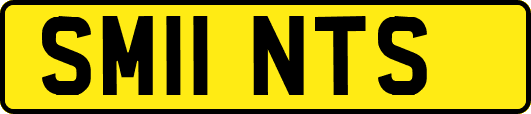 SM11NTS