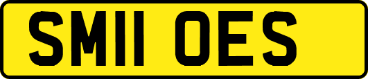 SM11OES
