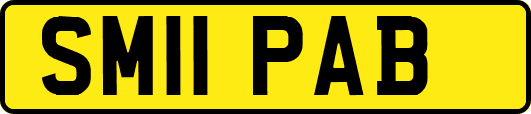 SM11PAB