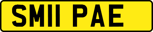 SM11PAE