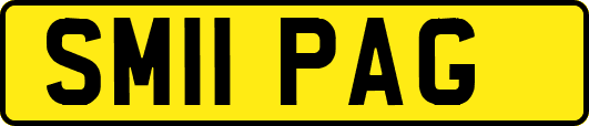 SM11PAG