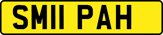SM11PAH
