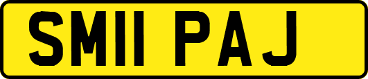 SM11PAJ