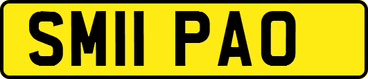 SM11PAO