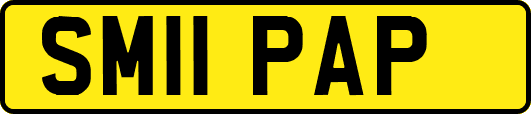 SM11PAP