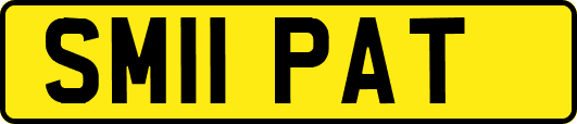 SM11PAT