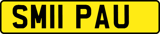 SM11PAU
