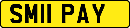 SM11PAY