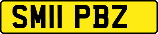 SM11PBZ