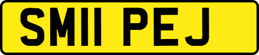 SM11PEJ