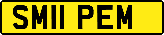 SM11PEM
