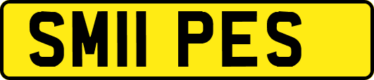 SM11PES