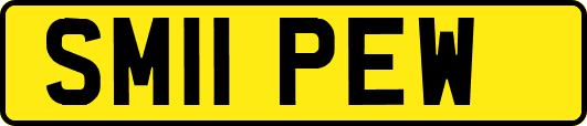 SM11PEW