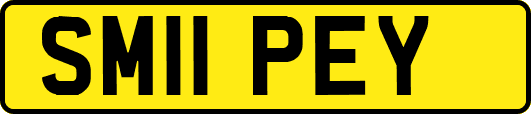 SM11PEY