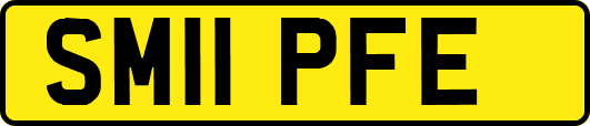 SM11PFE