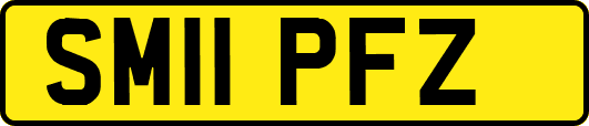 SM11PFZ