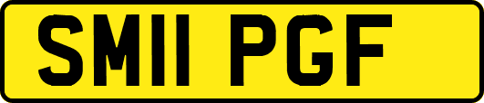 SM11PGF