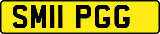 SM11PGG