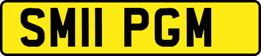 SM11PGM