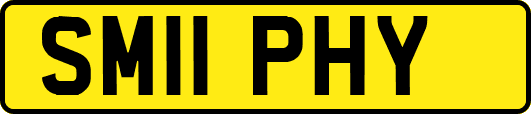 SM11PHY