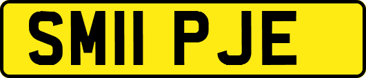 SM11PJE