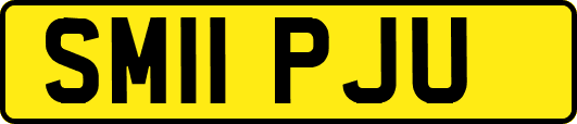 SM11PJU