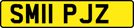 SM11PJZ
