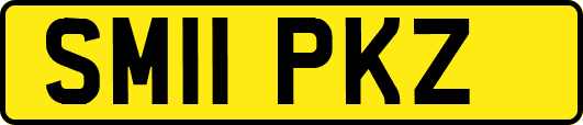 SM11PKZ