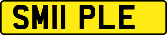 SM11PLE
