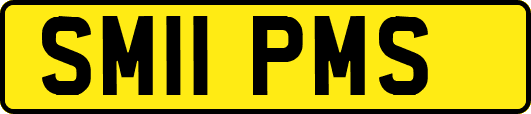 SM11PMS