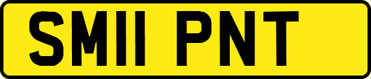 SM11PNT