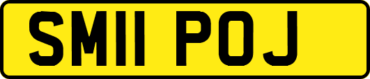 SM11POJ